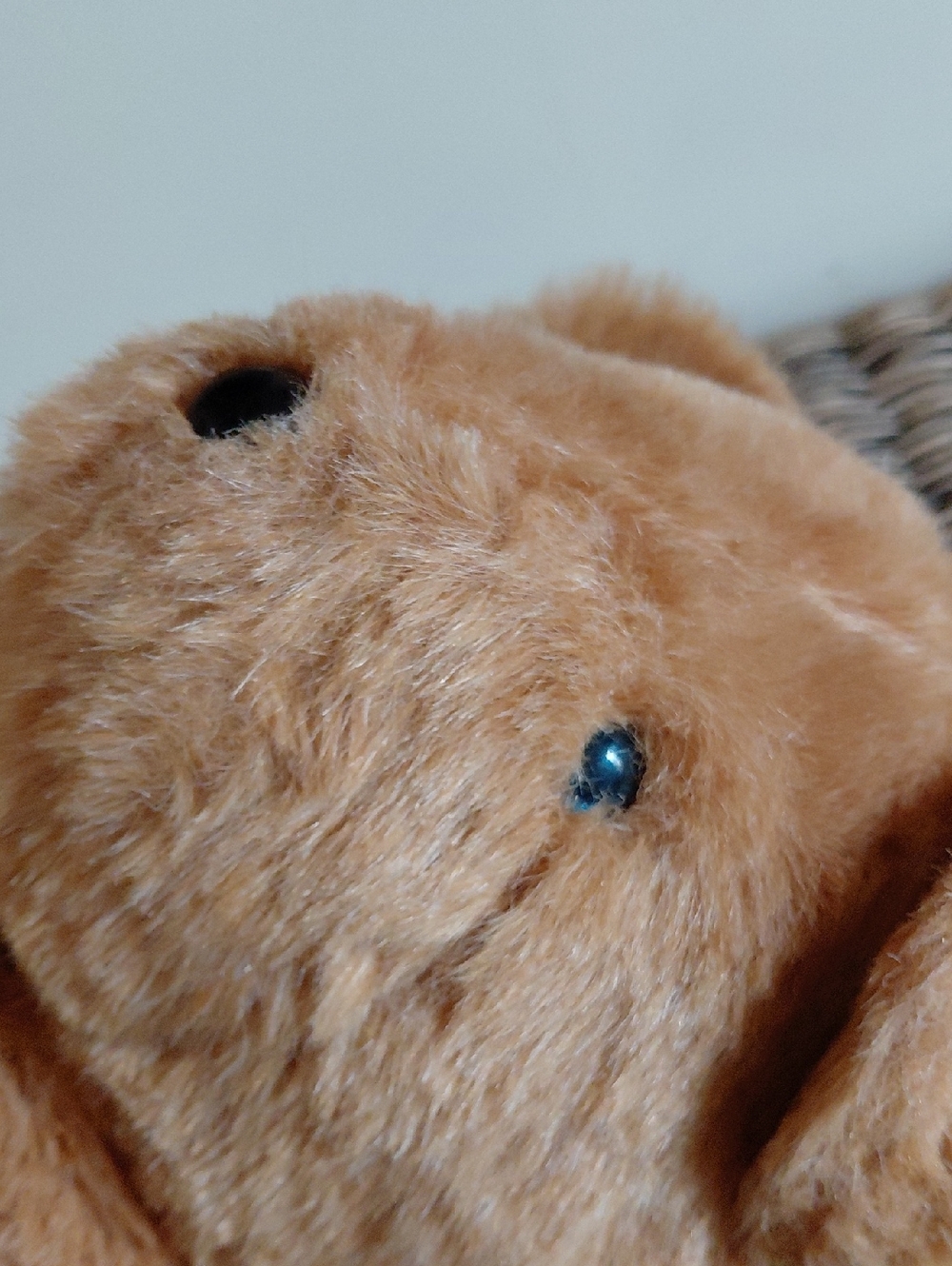 1984 'Bearman Of The Board' North American Bear Company Teddy Bear - Picture 6 of 10
